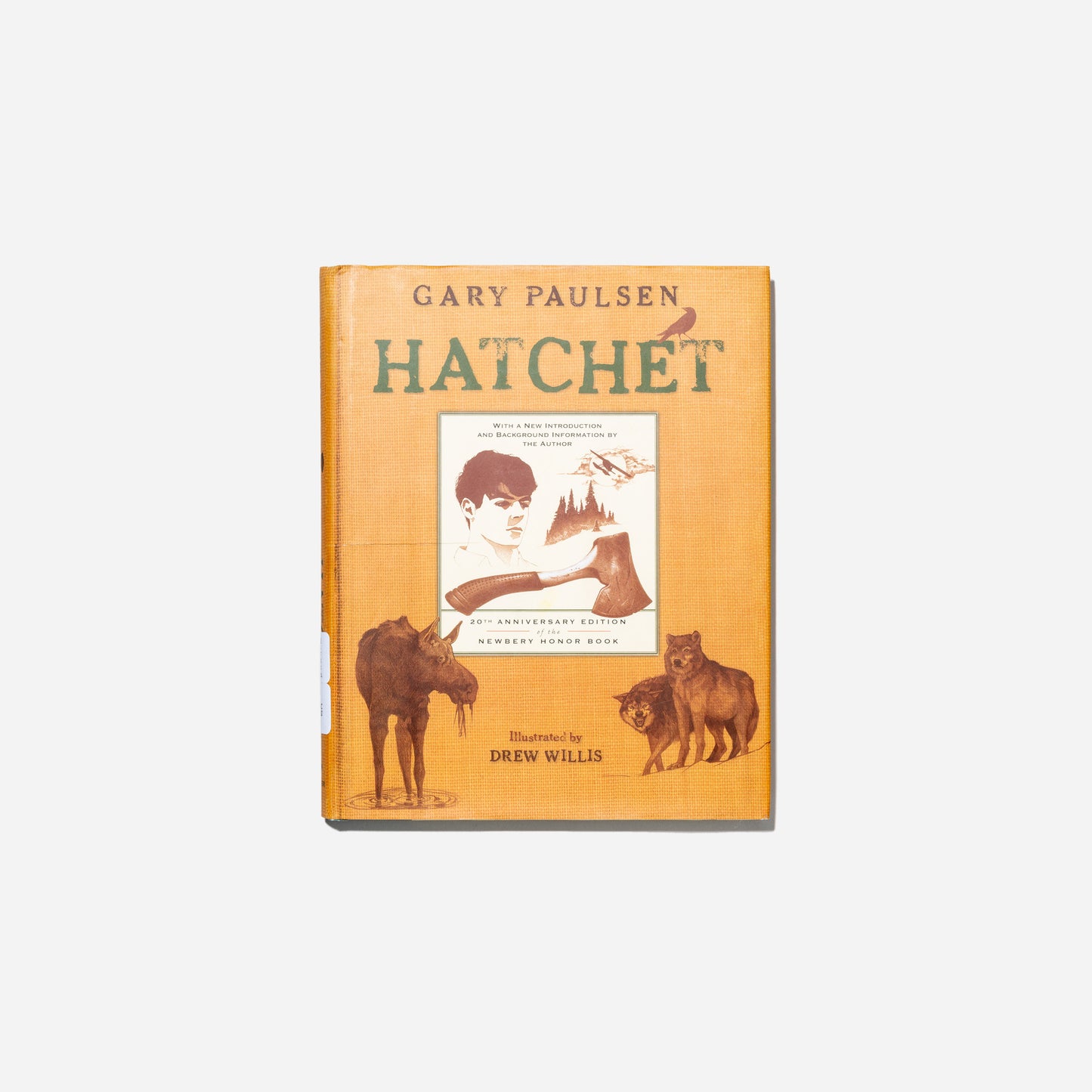 Hatchet Illustrated Book